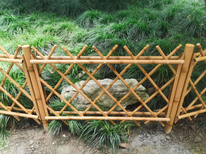 青田竹篱笆篱笆竹子篱笆塑钢护栏安阳林州图片4