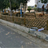 黄山竹篱笆碳化竹竹子篱笆不锈钢护栏南京溧水区图片2