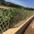 广州竹篱笆绿化护栏竹子篱笆竹护栏长沙天心区