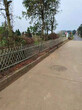 吉州区竹篱笆绿化护栏竹子篱笆隔根带邢台清河图片