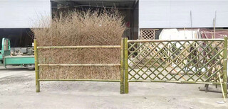 玉林竹篱笆庭院花园围栏竹子篱笆绿化栏杆韶关浈江区图片0