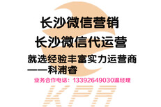 长沙、株洲活动策划，朋友圈广告投放，微商城搭建图片4