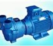 博罗泊威泵业水环式真空泵2BVA真空泵价格实惠