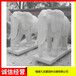 汉白玉石雕大象价格石雕大象厂家