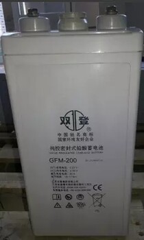 双登蓄电池GFM-1002V100AH铅酸免维护蓄电池全国包邮