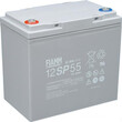 非凡蓄电池12SP55非凡12V55ah铅酸免维护蓄电池UPS/EPS电源专用图片