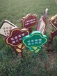 上海花草牌厂家园林指示牌园林绿化牌小草牌价格戏水牌图片