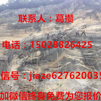 邊坡防護(hù)網(wǎng)#山東邊坡防護(hù)網(wǎng)#邊坡防護(hù)網(wǎng)生產(chǎn)廠家