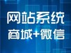 专业网站建设/微信开发/品牌推广