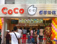 延安冷饮加盟Coco都可奶茶加盟图片2