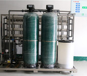 食品行业生产纯水设备面粉生产纯水设备2T