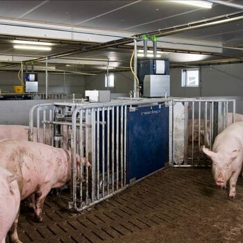 福临养猪设备公司，是一家集生产和销售一体的。2.13.6母猪产床