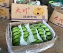 广西香蕉供货图片