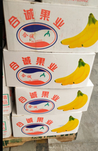 云南香蕉長期基地批發圖片