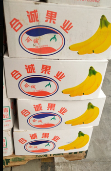 云南香蕉长期基地批发