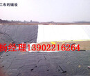 開平污水池防滲水土工膜排水板廣東江門人工湖防水土工膜排水板圖片