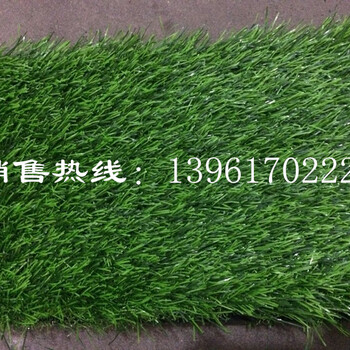 林杰供应北京体育场人造草坪厂家