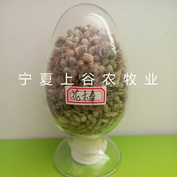 花棒種子--大量供應(yīng)--沙生植物--防風(fēng)固沙