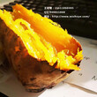 银川黄皮苏薯8号红薯品种图片