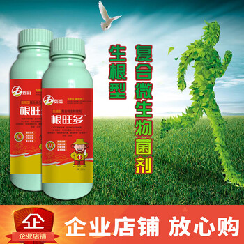 草莓定植生根用什么？喜百农根旺多