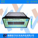 LD-S30TDS型智能温度巡检仪TDS-X082R1巡检仪巡检表