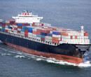 国际海运出口新西兰新加坡澳大利亚泰国一条龙服务