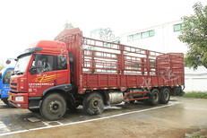 栅栏式二手解放牌货车，山东二手车图片2