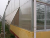 阳光板温室大棚阳光板温室大棚厂家阳光板温室大棚造价