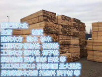 苏州建筑木方规格定制图片0