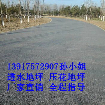 贵州省黔东南供应彩色露骨料混凝土透水地坪