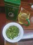 武当绿茶图片1