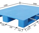 信阳托盘厂家供应塑料托盘地托地台板垫仓板防潮垫板