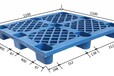 祺博塑业供应安阳塑料托盘厂家直销安阳叉车垫板安阳货架托盘