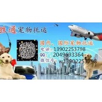 宠物托运宠物空运鸽子空运荔枝空运火车托运航空货运