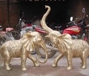 铜雕厂家定制铜雕动物小象雕塑图片
