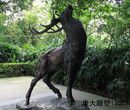 不锈钢鹿雕塑不锈钢鹿雕塑价格_优质不锈钢鹿雕塑批发/图片