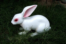 石雕兔子石雕兔子品牌/图片/价格_石雕兔子品图片1