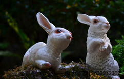 石雕兔子石雕兔子品牌/图片/价格_石雕兔子品图片3