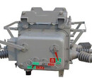供应ZW20-12高压真空断路器图片