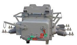 供应ZW20-12户外高压真空断路器图片0