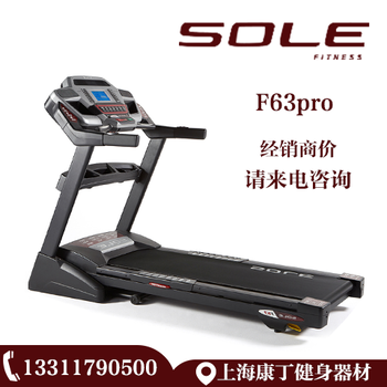 美国sole速尔F63PRO折叠跑步机家用静音豪华健身器材上门安装