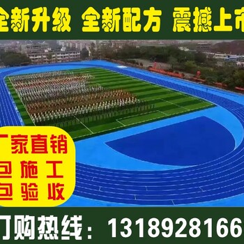 宁乡县新国标塑胶跑道、新国标塑胶跑道价格、新国标塑胶跑道施工、宁乡县体育公司