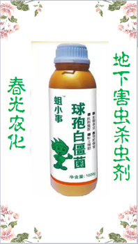 黑頭蛆地蛆蔥蛆地下害蟲球孢白僵菌的噴施殺蟲劑廠家