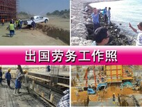 H出国劳务/打工，爱尔兰招聘建筑技工年薪30万包食宿图片0