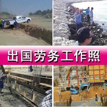 H出国劳务/打工，爱尔兰招聘建筑技工年薪30万包食宿