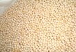 广西钦州豌豆进口报关资料和海关编码