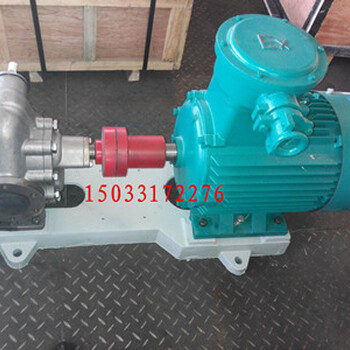 2CY1000-6.3齿轮油泵机械部生产厂供应