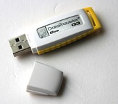 属旋转U盘开模定制logo小胖优盘定制usb2.0小胖子U盘金色