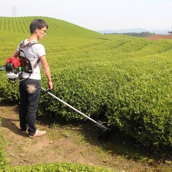 厂家果园除草松土机茶园锄地机新型玉米地锄草机