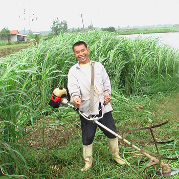 四冲程侧挂式割灌机侧挂式割草机质量好价格低